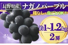 【2025年先行予約】ぶどう ナガノパープル 約1~1.2kg(2房)｜ 果物 フルーツ 黒ぶどう 葡萄 ブドウ 種無し 種なし 皮ごと 千曲市 長野県 信州