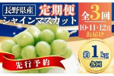 【2025年先行予約】【定期便3回】シャインマスカット約1kg×3回(2025年10月/11月/12月発送)｜ 果物 フルーツ 白ぶどう 葡萄 ブドウ 種無し 種なし 皮ごと 千曲市 長野県 信州