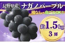 【2025年先行予約】ぶどう ナガノパープル 約1.5kg(3房)｜ 果物 フルーツ 黒ぶどう 葡萄 ブドウ 種無し 種なし 皮ごと 千曲市 長野県 信州