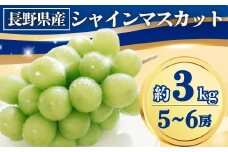 シャインマスカット 約3kg(5~6房)｜ 果物 フルーツ 白ぶどう 葡萄 ブドウ 種無し 種なし 皮ごと 千曲市 長野県 信州