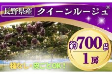 【2025年先行予約】ぶどう クイーンルージュ® 約700g(1房) 長野県オリジナル品種｜ 果物 フルーツ 赤ぶどう 葡萄 ブドウ 種無し 種なし 皮ごと 千曲市 長野県 信州