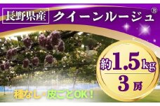 【2025年先行予約】ぶどう クイーンルージュ® 約1.5kg(3房) 長野県オリジナル品種｜ 果物 フルーツ 赤ぶどう 葡萄 ブドウ 種無し 種なし 皮ごと 千曲市 長野県 信州