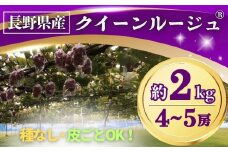 【2025年先行予約】ぶどう クイーンルージュ® 約2kg(4~5房) 長野県オリジナル品種｜ 果物 フルーツ 赤ぶどう 葡萄 ブドウ 種無し 種なし 皮ごと 千曲市 長野県 信州