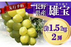 【2025年先行予約】ぶどう 雄宝(ゆうほう) 約1.5kg(2房) ｜ 果物 フルーツ ぶどう 葡萄 ブドウ 種無し 種なし 皮ごと 千曲市 長野県 信州