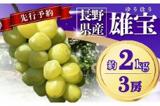 【2025年先行予約】ぶどう 雄宝(ゆうほう) 約2kg(3房)｜ 果物 フルーツ ぶどう 葡萄 ブドウ 種無し 種なし 皮ごと 千曲市 長野県 信州