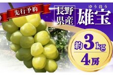 【2025年先行予約】ぶどう 雄宝(ゆうほう) 約3kg(4房)｜ 果物 フルーツ ぶどう 葡萄 ブドウ 種無し 種なし 皮ごと 千曲市 長野県 信州