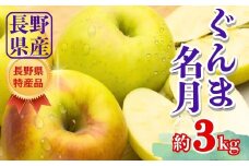 【2025年先行予約】りんご ぐんま名月 約3kg｜ リンゴ 林檎 ぐんまめいげつ 群馬名月 千曲市 長野県 信州