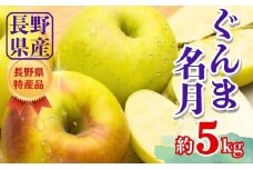 【2025年先行予約】りんご ぐんま名月 約5kg｜ リンゴ 林檎 ぐんまめいげつ 群馬名月 千曲市 長野県 信州