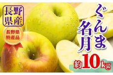 【2025年先行予約】りんご ぐんま名月 約10kg｜ リンゴ 林檎 ぐんまめいげつ 群馬名月 千曲市 長野県 信州