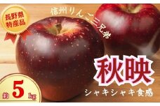 【2025年先行予約】りんご 秋映 約5kg りんご三兄弟 長男｜ 果物 フルーツ リンゴ 林檎 あきばえ 千曲市 長野県 信州