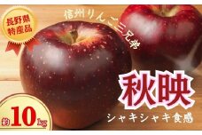 【2025年先行予約】りんご 秋映 約10kg りんご三兄弟 長男｜ 果物 フルーツ リンゴ 林檎 あきばえ 千曲市 長野県 信州