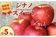 【2025年先行予約】りんご シナノスイート 長野県オリジナル品種 約5kg りんご三兄弟 次男｜ 果物 フルーツ リンゴ 林檎 シナノスイート 千曲市 長野県 信州