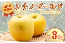 【2025年先行予約】りんご シナノゴールド 約3kg りんご三兄弟 三男｜ 果物 フルーツ リンゴ 林檎 シナノゴールド 千曲市 長野県 信州