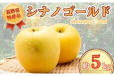 【2025年先行予約】りんご シナノゴールド 約5kg りんご三兄弟 三男｜ 果物 フルーツ リンゴ 林檎 シナノゴールド 千曲市 長野県 信州