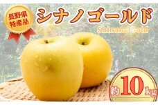 【2025年先行予約】りんご シナノゴールド 約10kg りんご三兄弟 三男｜ 果物 フルーツ リンゴ 林檎 シナノゴールド 千曲市 長野県 信州