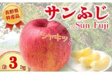 【2025年先行予約】りんご サンふじ 約3kg｜ 果物 フルーツ リンゴ 林檎 サンフジ さんふじ 千曲市 長野県 信州
