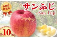 【2025年先行予約】りんご サンふじ 約10kg｜ 果物 フルーツ リンゴ 林檎 サンフジ さんふじ 千曲市 長野県 信州
