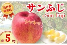 【2025年先行予約】りんご サンふじ 約5kg｜ 果物 フルーツ リンゴ 林檎 サンフジ さんふじ 千曲市 長野県 信州