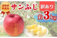 【2025年先行予約】りんご サンふじ  訳あり 約3kg｜ 果物 フルーツ リンゴ 林檎 サンフジ さんふじ 千曲市 長野県 信州