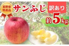 【2025年先行予約】りんご サンふじ  訳あり 約5kg｜ 果物 フルーツ リンゴ 林檎 サンフジ さんふじ 千曲市 長野県 信州