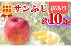 【2025年先行予約】りんご サンふじ  訳あり 約10kg｜ 果物 フルーツ リンゴ 林檎 サンフジ さんふじ 千曲市 長野県 信州