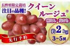 【2025年先行予約】ぶどう クイーンルージュ® 約2kg(3~5房)｜ 果物 フルーツ 赤ぶどう 葡萄 ブドウ 種無し 種なし 皮ごと 千曲市 長野県 信州