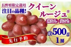 【2025年先行予約】ぶどう クイーンルージュ® 約500g(1房)｜ 果物 フルーツ 赤ぶどう 葡萄 ブドウ 種無し 種なし 皮ごと 千曲市 長野県 信州