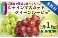 【2025年先行予約】シャインマスカット＆クイーンルージュ® 家庭用 1kg(各1房/計2房)｜ 果物 フルーツ 白ぶどう 赤ぶどう 葡萄 ブドウ 種無し 種なし 皮ごと 千曲市 長野県 信州