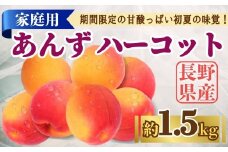 【2025年先行予約】あんず ハーコット 家庭用 約1.5kg｜ 果物 フルーツ 杏子 アンズ アプリコット 千曲市 長野県 信州