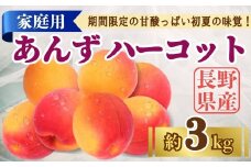 【2025年先行予約】あんず ハーコット 家庭用 約3kg｜ 果物 フルーツ 杏子 アンズ アプリコット 千曲市 長野県 信州