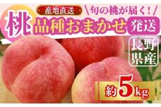 桃(品種おまかせ)  約5kg｜ 果物 フルーツ もも モモ 白桃 白鳳 特産品 千曲市 長野県 信州