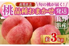 【2025年先行予約】桃(品種おまかせ)  約3kg｜ 果物 フルーツ もも モモ 白桃 白鳳 特産品 千曲市 長野県 信州