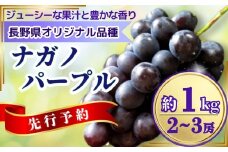 【2025年先行予約】ぶどう ナガノパープル 約1kg(2~3房)｜ 果物 フルーツ ぶどう 葡萄 ブドウ 種無し 種なし 皮ごと 千曲市 長野県 信州
