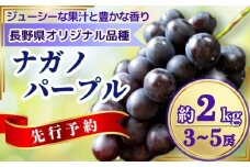 【2025年先行予約】ぶどう ナガノパープル 約2kg(3~5房)｜ 果物 フルーツ ぶどう 葡萄 ブドウ 種無し 種なし 皮ごと 千曲市 長野県 信州