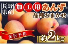 【2025年先行予約】あんず 品種おまかせ 加工用 約2kg｜ 果物 フルーツ 杏子 アンズ アプリコット 千曲市 長野県 信州