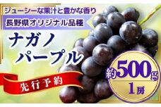 【2025年先行予約】ぶどう ナガノパープル 約500g(1房)｜ 果物 フルーツ ぶどう 葡萄 ブドウ 種無し 種なし 皮ごと 千曲市 長野県 信州