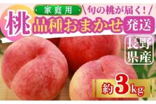 【2025年先行予約】桃(品種おまかせ) 家庭用 約3kg｜ 果物 フルーツ もも モモ 白桃 白鳳 特産品 千曲市 長野県 信州