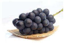 ナガノパープル約1kg（2~3房）ぶどう 種無し 黒ぶどう 皮ごと 信州 長野県 千曲市