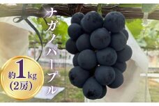 ナガノパープル約1kg（2~3房）ぶどう 種無し 黒ぶどう 皮ごと 信州 長野県 千曲市