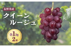 クイーンルージュ® 約1kg（2~3房）ぶどう 大粒 赤ぶどう 種無し 皮ごと 信州 長野県 千曲市