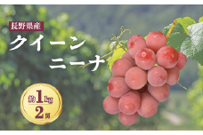 クイーンニーナ 約1kg（2~3房）ぶどう 大粒 赤ぶどう 種無し 皮ごと 信州 長野県 千曲市