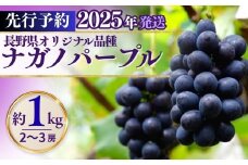 ナガノパープル（約1kg）｜ 果物 フルーツ 黒ぶどう 葡萄 ブドウ 種無し 種なし 皮ごと 千曲市 長野県 信州