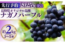 ナガノパープル（約2kg）｜ 果物 フルーツ 黒ぶどう 葡萄 ブドウ 種無し 種なし 皮ごと 千曲市 長野県 信州