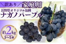  訳あり ナガノパープル（約2kg）家庭用 ｜ 果物 フルーツ 黒ぶどう 葡萄 ブドウ 種無し 種なし 皮ごと 千曲市 長野県 信州