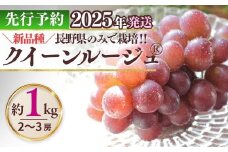  クイーンルージュ®  約1kg ( 2~3房 )｜ 果物 フルーツ 赤ぶどう 葡萄 ブドウ 種無し 種なし 皮ごと 千曲市 長野県 信州