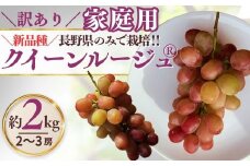 訳あり クイーンルージュ®  約2kg ( 3~5房 )｜ 果物 フルーツ 赤ぶどう 葡萄 ブドウ 種無し 種なし 皮ごと 千曲市 長野県 信州