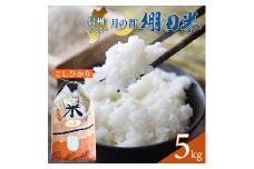 【2025年先行予約】棚田米 こしひかり 白米 5kg 令和7年産｜ 新米 コシヒカリ 千曲市 長野県 信州