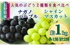 【2025年先行予約】家庭用 シャインマスカット＆ナガノパープル 約1kg（各1房/計2房）｜ 果物 フルーツ 白ぶどう 黒ぶどう 葡萄 ブドウ 種無し 種なし 皮ごと 千曲市 長野県 信州