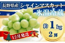 【2025年先行予約】氷温貯蔵シャインマスカット 約1kg(2房)｜果物 フルーツ 白ぶどう 葡萄 ブドウ 種無し 種なし 皮ごと 千曲市 長野県 信州