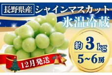 【2025年先行予約】氷温貯蔵シャインマスカット 約3kg(5~6房)｜果物 フルーツ 白ぶどう 葡萄 ブドウ 種無し 種なし 皮ごと 千曲市 長野県 信州